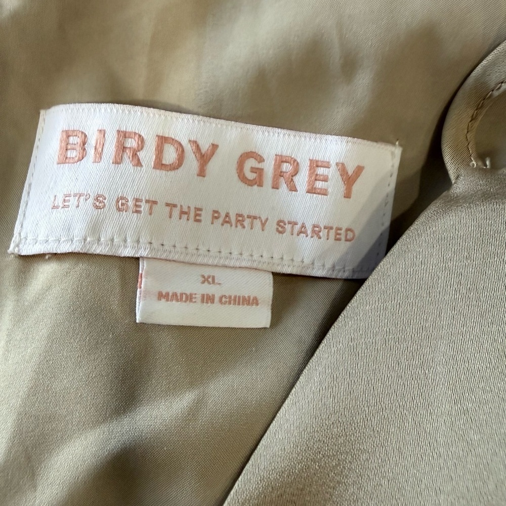 Birdy Grey Satin Maxi Skirt in Cream - Picture 2 of 7